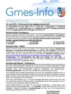 Gmes-Info 12.06.2020